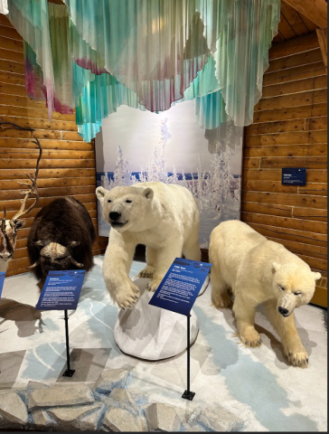 Capture dcran 2026 03 26 100057