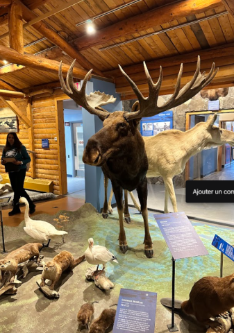 Capture dcran 2026 03 26 100057