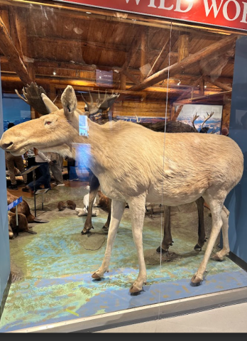 Capture dcran 2026 03 26 100057