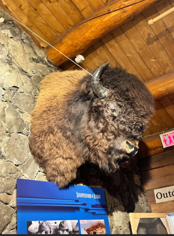 Capture dcran 2026 03 26 100057