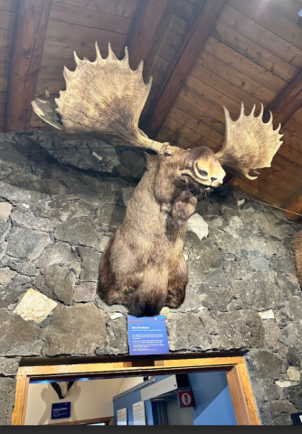 Capture dcran 2026 03 26 100057